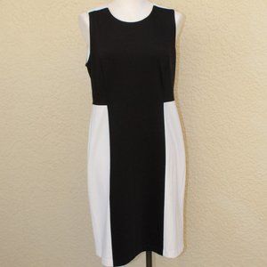 Chico's Black & Off-White Color Block Sheath Dress